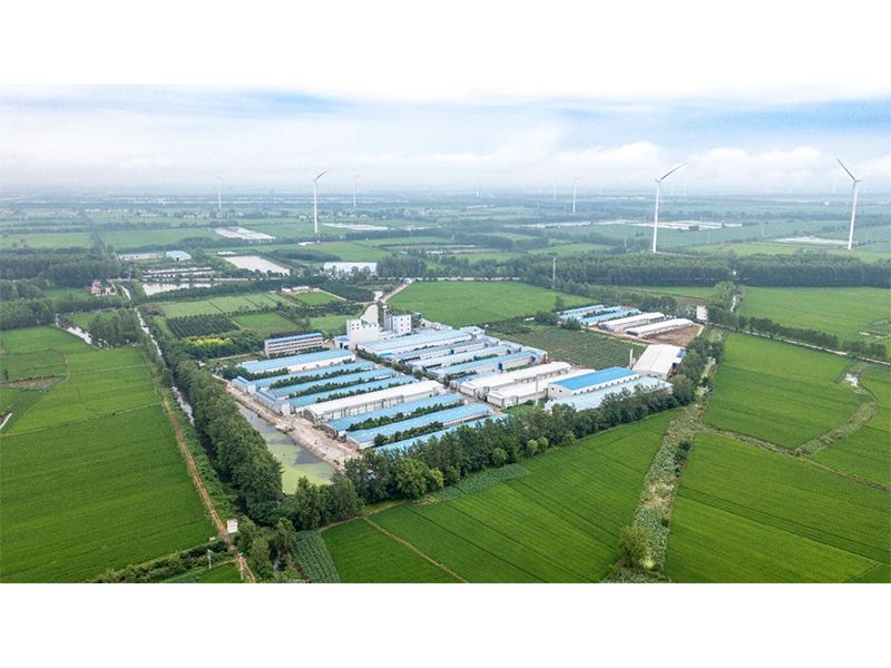2023年中央一號文件出爐，畜禽產(chǎn)業(yè)應(yīng)抓住哪些新機遇？