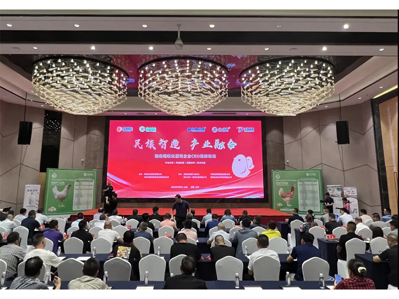熱烈祝賀湖南規(guī)?；半u企業(yè)CEO高峰論壇取得圓滿成功！