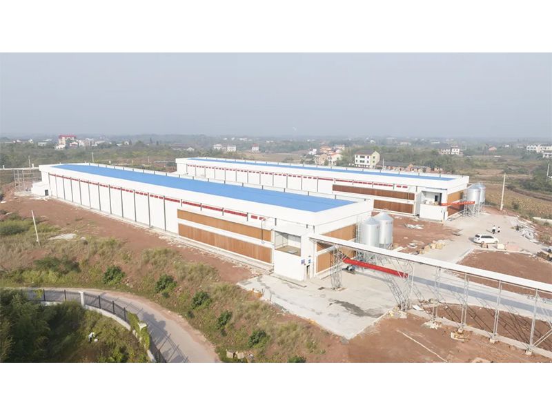 熱烈祝賀西南地區(qū)300萬羽蛋雞養(yǎng)殖基地驗收成功，上雞大吉！